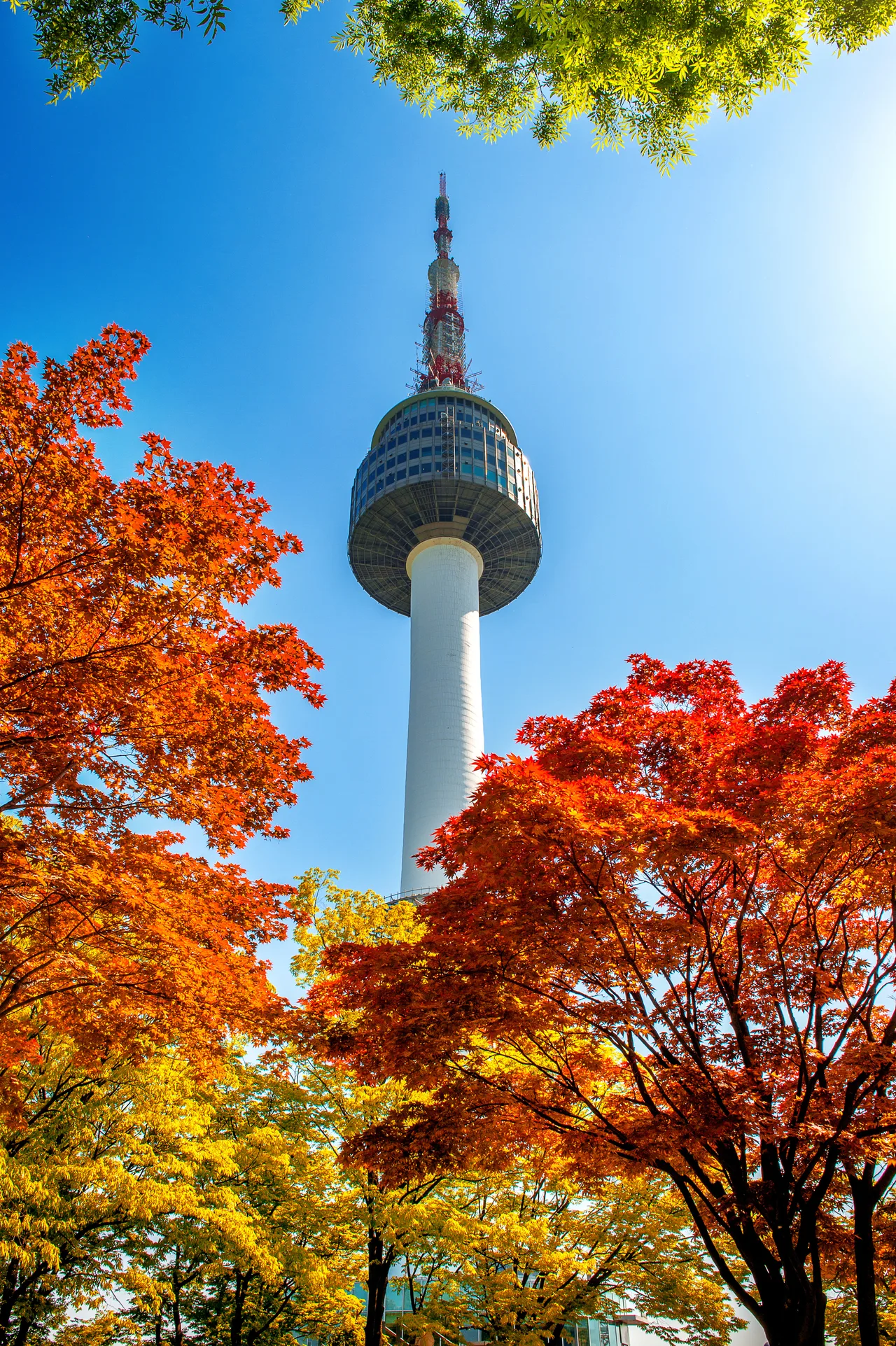 N Seoul Tower in autumn